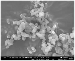 钙钛矿量子点及其制备方法和应用