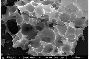 基于胞嘧啶的掺氮多孔碳材料及其制备方法和应用