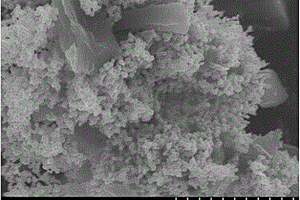 纳米四氧化三铁/剑麻炭锂离子电池负极材料的制备方法