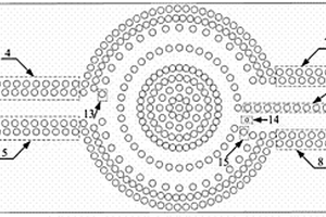 圆形镂空分支结构的太赫兹波偏振分束器