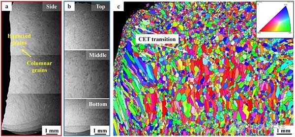激光增材制造TiVHfNbMo难熔高熵合金的微观组织