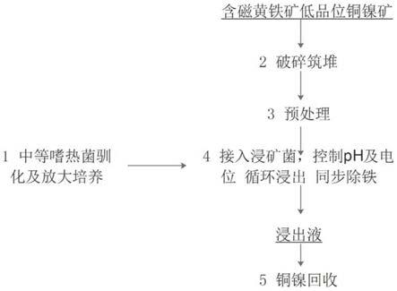 含磁黄铁矿低品位铜镍矿微生物浸出与除铁联合堆浸方法与流程