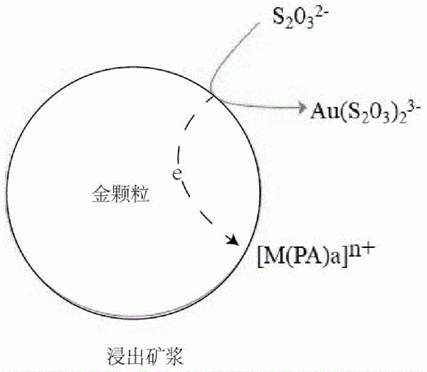 硫代硫酸盐浸金方法及应用与流程