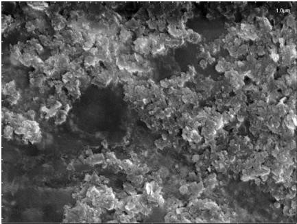 纳米碳化硼粉体