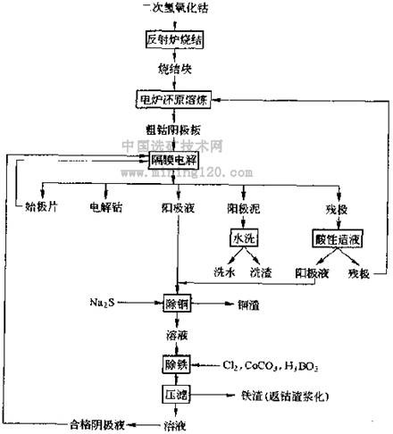 铂思特钴矿选矿进展钴硫精矿提钴工艺砷钴矿提钴工艺