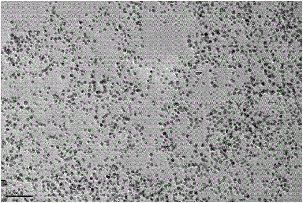 纳米金属颗粒及其制备方法与流程