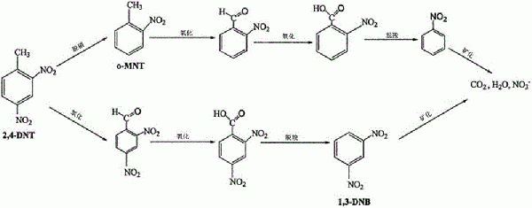 基于空化技术处理有机工业废水的装置的制造方法