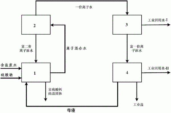 分离含盐废水中一价盐和二价盐的方法和系统与流程