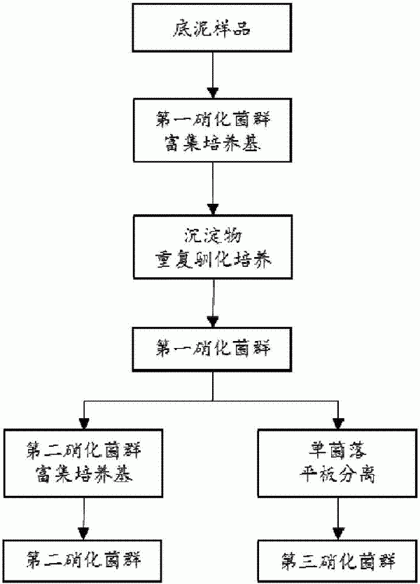 地表水环境氨氮去除方法与流程