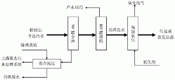 一种废盐综合利用的处理方法与流程