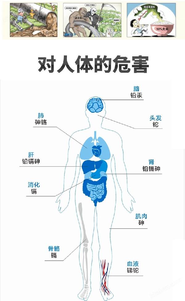 重金属污染危害