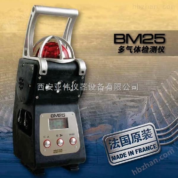 BM25可移动多气体监测仪