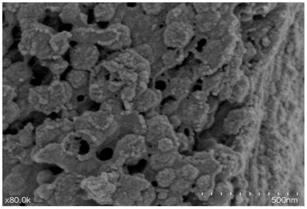 一种生物炭负载铁基纳米改性材料及其制备方法和应用与流程