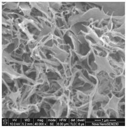 石墨烯纳米卷及其制备方法