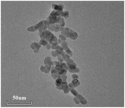 粒径小于20nm的纳米碳酸钙的制备方法
