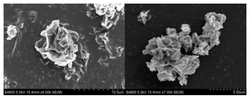 石墨烯/硅复合微球及其制备方法