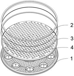 圆形振动筛用筛网固定结构