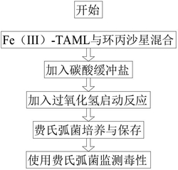 高效降解环丙沙星的催化氧化方法及其产物毒性评估方法