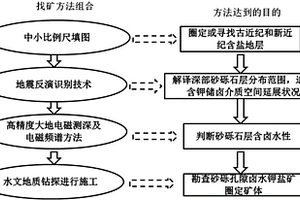 盆地区深层卤水钾盐或锂盐矿勘探方法