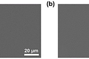 钙钛矿单晶光电探测器及其制备方法