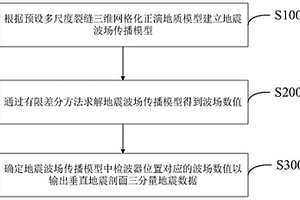 多尺度裂缝三维地质模型VSP观测方法及系统