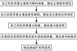 实现隐伏火山岩型铀矿三维勘查的综合物化探方法