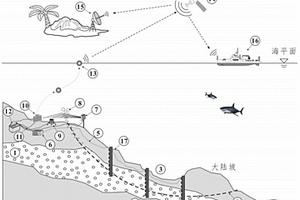 大陆边缘水合物环境地质动态监测系统及方法