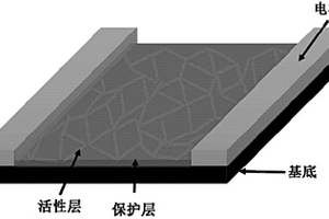 具有网状钙钛矿纳米线的光电探测器及其制备方法