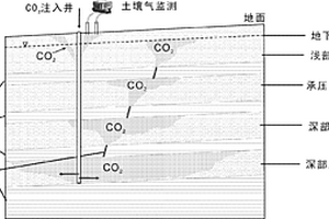 CO2地质封存中钻孔泄漏的测定方法