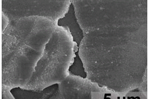 钙钛矿薄膜及含其的光电探测器的反溶剂制备方法