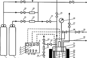 CO2地质封存中水岩反应的批式实验装置
