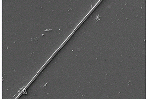 反溶剂法制备钙钛矿纳米线的方法及光电探测器