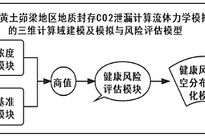 复杂地形CFD计算域建模方法及地质封存二氧化碳泄漏模拟与风险评估系统