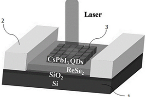 基于ReSe2/CsPbI3钙钛矿量子点杂化的宽谱光电探测器及其制备方法