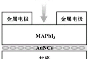 基于等离激元效应的钙钛矿弱光探测器