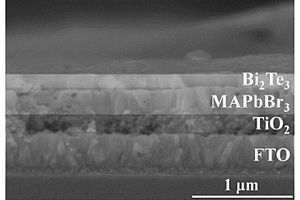 钙钛矿多波段探测器及其制备方法