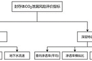 二氧化碳地质封存体中泄漏风险的评价方法