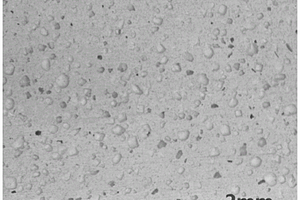 利用模板法高效制备多孔地质聚合物膜的方法