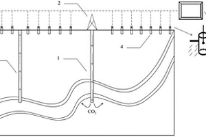 CO2地质封存泄露监测系统