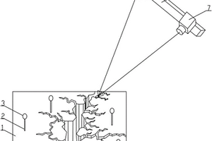 红外光源立体视觉地质裂缝变形测量系统及方法