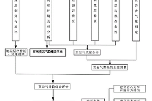 页岩气单井地质综合评价方法