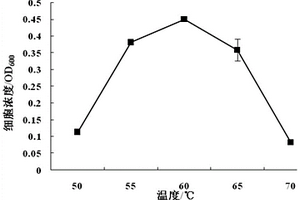 半乳糖地质杆菌BWTGW1.1及其应用