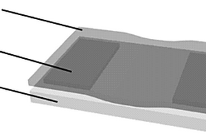 基于拓扑绝缘体硒化铋电极的钙钛矿薄膜的宽波段光电探测器及其制备方法