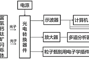 基于富氢钙钛矿闪烁体的辐射探测装置及探测方法