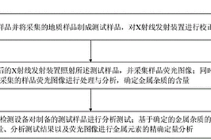 金属元素的精确定量分析方法