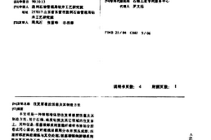 往复泵橡胶活塞及其制造方法