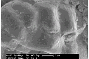 运用蛋白胶凝材料提高微生物胶结砂土机械性能的方法