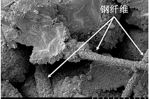 微生物固化-纤维加筋联合改性砂土的方法
