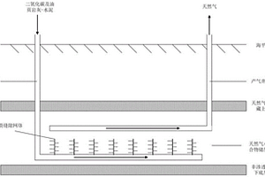 以油页岩灰-水泥为支撑剂的二氧化碳封存与置换开发天然气水合物一体化方法