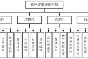 闽楠天然次生林健康评价模型及健康评价方法